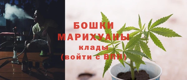 таблы Белокуриха