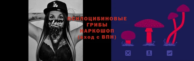 ПСИЛОЦИБИНОВЫЕ ГРИБЫ Балабаново