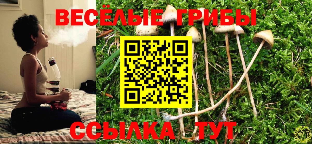 Псилоцибиновые грибы GOLDEN TEACHER Верхний Уфалей