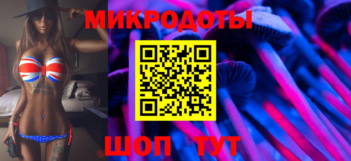 Верхний Уфалей  Галлюциногенные грибы Psilocybe  Вход с VPN 